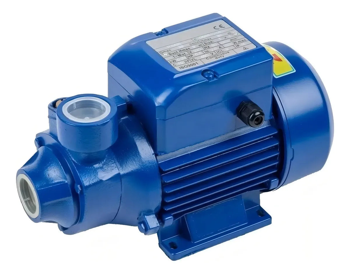 Bomba De Agua 1 Hp Bombas Autocebantes Bomba Centrifuga