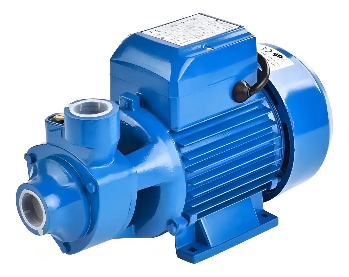 Bomba De Agua 1 Hp Bombas Autocebantes Bomba Centrifuga