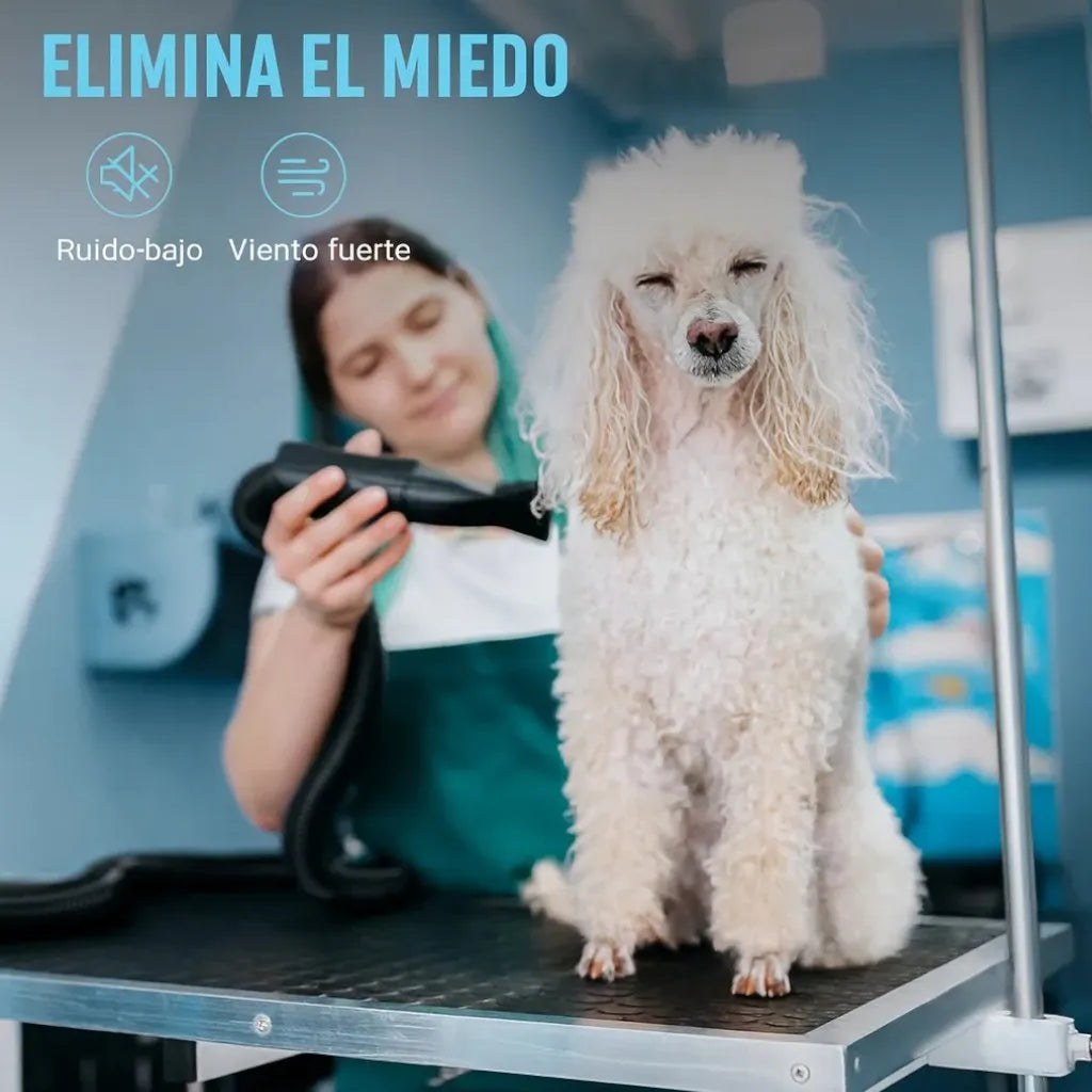 Secador Para Pelos Mascotas Peluquería De Perros Gato 2800w