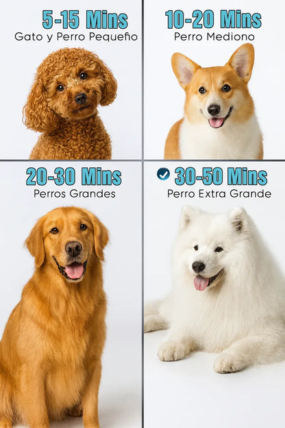 Secador Para Pelos Mascotas Peluquería De Perros Gato 2800w