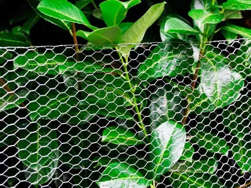 Malla Hexagonal Mallas Alambre Cercos 1 Pulgada 100cm - 50mt